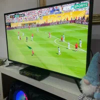 ال ای دی ۴۳ سامسونگ