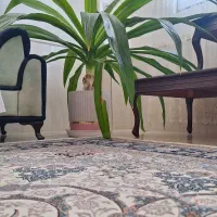 گل زیبا و سرحال