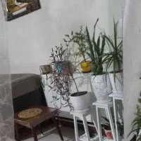 آینه|آینه|محمدیه-قزوین, |دیوار