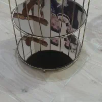 قفسه دو طبقه نونو