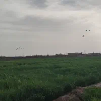 فروش یا معاوضه ۱۳ هکتار زمین و ۲۴ ساعت آب مدار ۱۶|فروش زمین و ملک کلنگی|نیشابور, دربقاضی|دیوار
