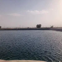 تولید فنس و پایه بتونی و پایه آهنی باغ استخر|خدمات باغبانی و درختکاری|محمدیه-قزوین, |دیوار