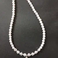 اکسسوری|بدلیجات|اهواز, کمپلو شمالی|دیوار