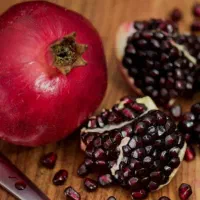 نهال انار بی دانه واندرفول