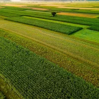 زمین-قصر-سبز-ورودی-شهرک-صدرا