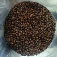فروش عمده قهوه و شکلات