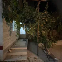 اجاره خونه|اجارهٔ خانه و ویلا|تاکستان, |دیوار