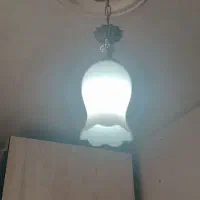 دوتا لوستر تک شاخه