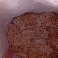 نان خشک