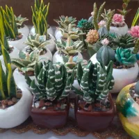 پخش عمده ی گلهای تزئینی(مراغه)|گل مصنوعی|مراغه, |دیوار