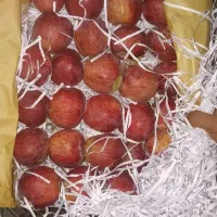 فروش سیب درجه یک با کیفیت