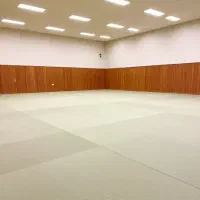 جذب مربی رزمی ،هوازی و یوگا