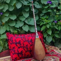 دوتار حرفه ای فروشی