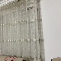 پرده پذیرایی|پرده، رانر، رومیزی|رودسر, |دیوار