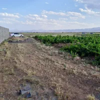 زمین باغی و کشاورزی چک و نقد و معاوضه با خودرو|فروش دفتر صنعتی، کشاورزی، تجاری|فرمهین, |دیوار