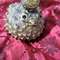 ماهی بادکنکی تزئینی و انگشتر نگین دار|جواهرات|آفتاب, |دیوار