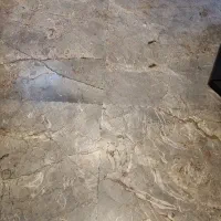 همخونه-بدون-حاشیه