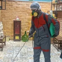 سمپاشی منازل و ادارات در شهر وروستاهای قشم