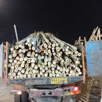 قیم چوبی نهال