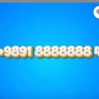 4 8888888 9891+