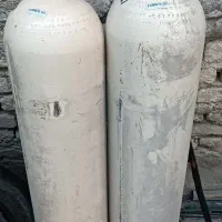 کپسول دو قلو پیکان تاریخ دار