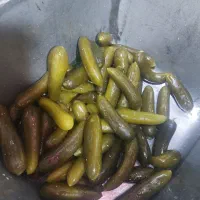 خیارشور|خوردنی و آشامیدنی|اصفهان, قهجاورستان|دیوار
