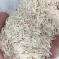 برنج دم سیاه اعلا
