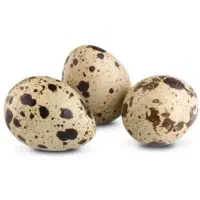 تخم بلدرچین تازه