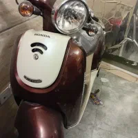 پاکشتی گرینو