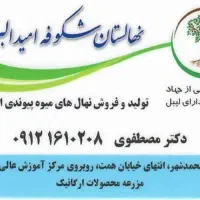 فروش نهال میوه