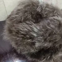 کلاه .روسی  طبیعی|لباس|تهران, شهرک گلها (تهرانسر)|دیوار