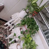 گل و گلدون و پایه گلدون