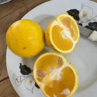 پرتقال و نارنج محلی