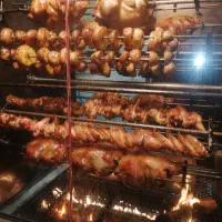 دستگاه جوجه گردان