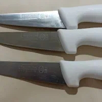 چاقو بی خصی برزیلی|ظروف پختوپز|مشهد, کارمندان دوم|دیوار