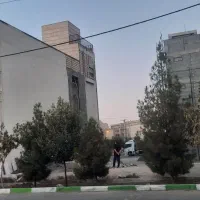 زمین-200-متر-بر-بلوار-45-متری-بهاالدینی