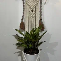 فروش آویز گلدان مکرومه دست بافت|صنایع دستی و سایر لوازم تزئینی|اهواز, پادادشهر|دیوار