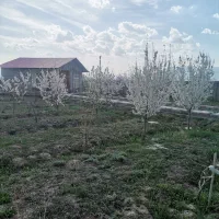 صوفیان گوزل یول ویلاباغ آماده۹۵۰مترمربع