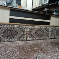 پشتی سالم