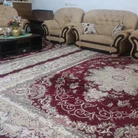 قالی ۱۲متری|فرش|جم, |دیوار