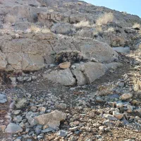 چهار-باغ-بالا-زمین