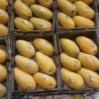 انبه شاهتوت توت فرنگی
