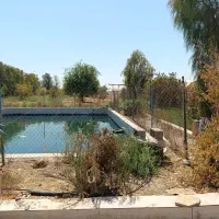 فروش زیر قیمت گلخانه یک هکتاری همراه بااستخروسوییت|فروش دفتر صنعتی، کشاورزی، تجاری|شوشتر, |دیوار