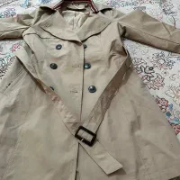 کت جنس بارونی