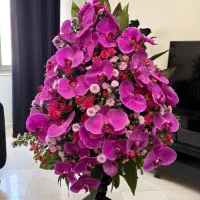 تاج گل ارکیده