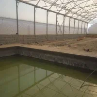 اجاره گلخانه