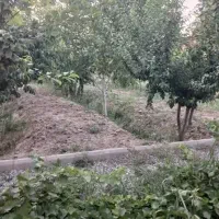 باغ-1300-متری-آتشگاه