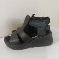 صندل طبی  نو هست پانخورده