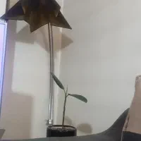 لوازم خانگی آباژور