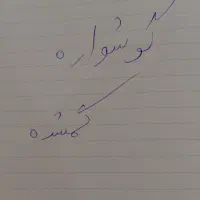 گوشواره گمشده